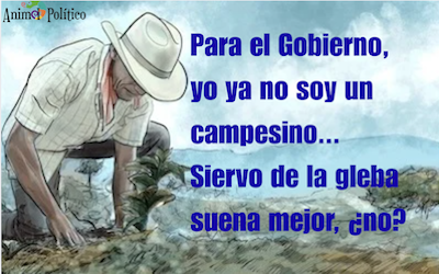Nuevo estatus